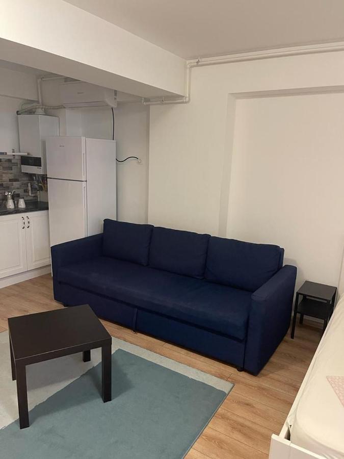 Tranzzit Airport Apartament I Apartment Otopeni Bagian luar foto